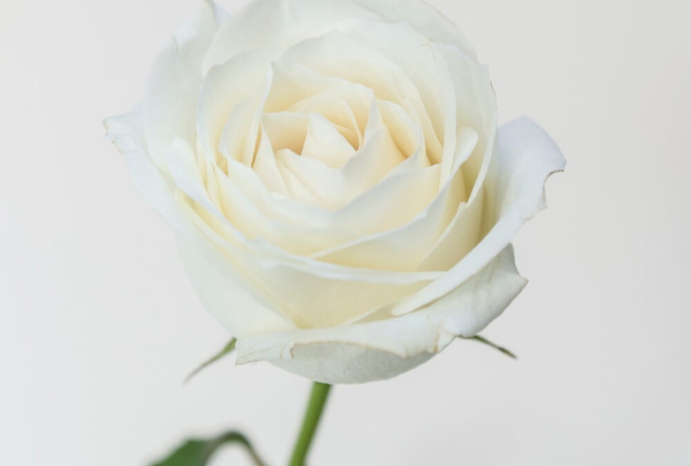 Fiori per funerali uomo